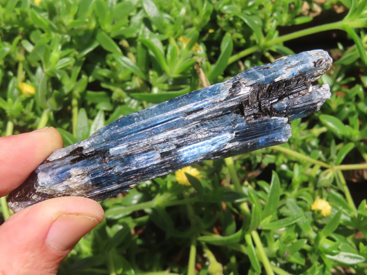 Natural Gemmy Kyanite with Biotite Crystal x 1 From Karoi, Zimbabwe