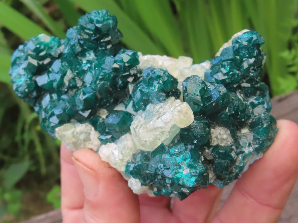 Natural Classic Emerald Green Dioptase Specimen x 1 From Likasi, Congo