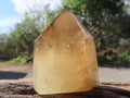 Polished Dark Smokey Citrine Crystal x 1 From Madagascar