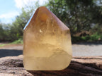 Polished Dark Smokey Citrine Crystal x 1 From Madagascar