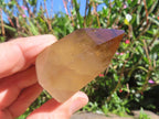 Polished Dark Smokey Citrine Crystal x 1 From Madagascar