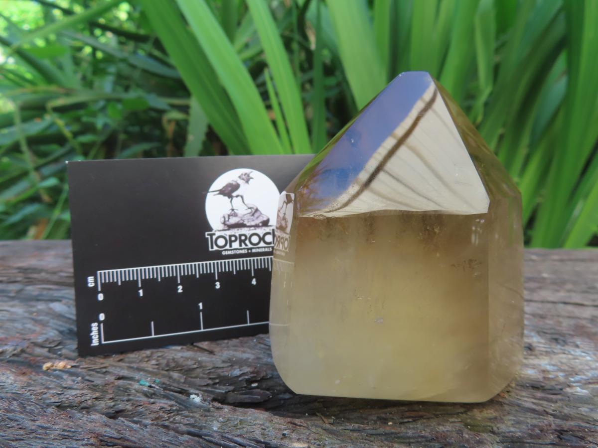 Polished Dark Smokey Citrine Crystal x 1 From Madagascar