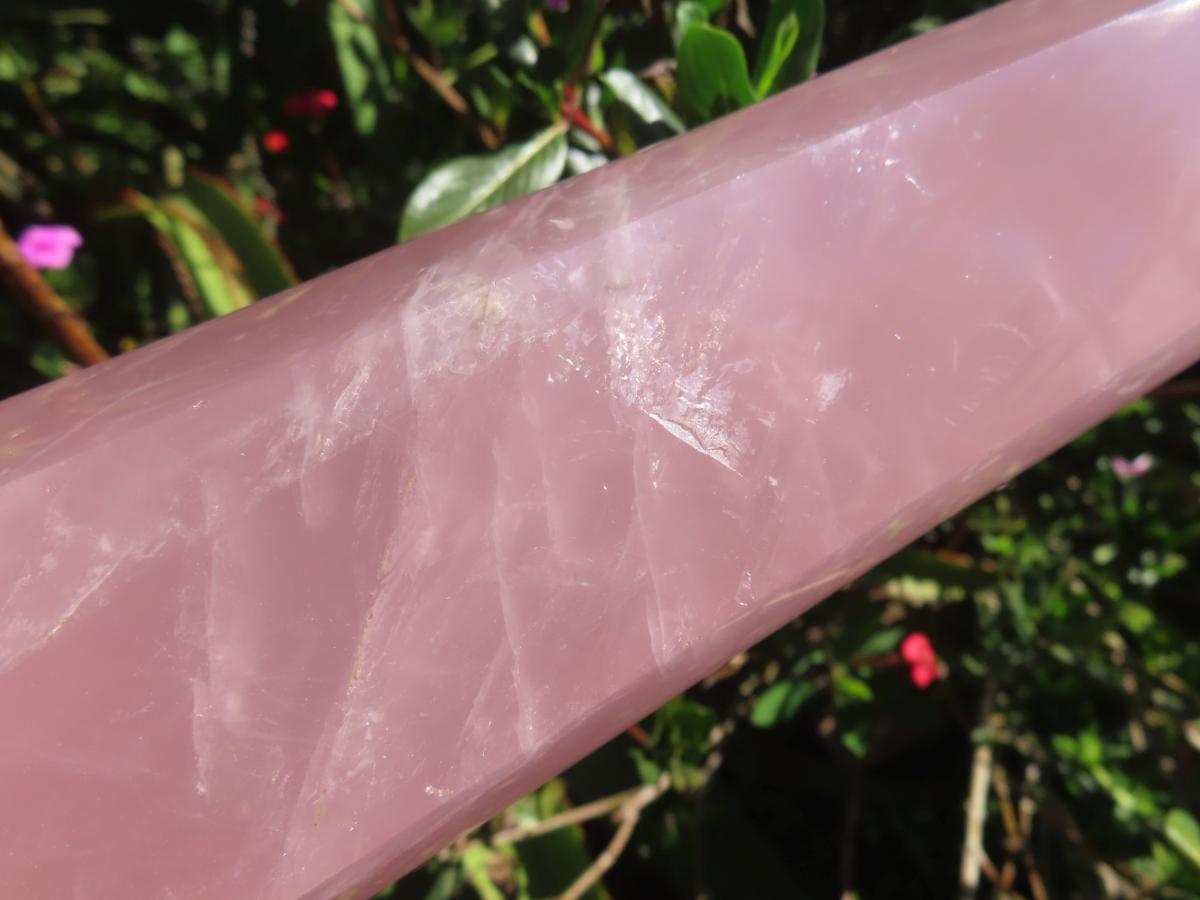 Polished Gemmy Long Rose Quartz Standing Prism x 1  From Ambatondrazaka, Madagascar