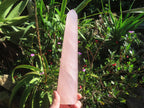 Polished Gemmy Long Rose Quartz Standing Prism x 1  From Ambatondrazaka, Madagascar
