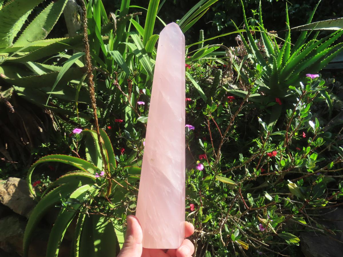 Polished Gemmy Long Rose Quartz Standing Prism x 1  From Ambatondrazaka, Madagascar