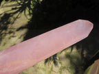 Polished Gemmy Long Rose Quartz Standing Prism x 1  From Ambatondrazaka, Madagascar