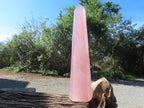 Polished Gemmy Long Rose Quartz Standing Prism x 1  From Ambatondrazaka, Madagascar