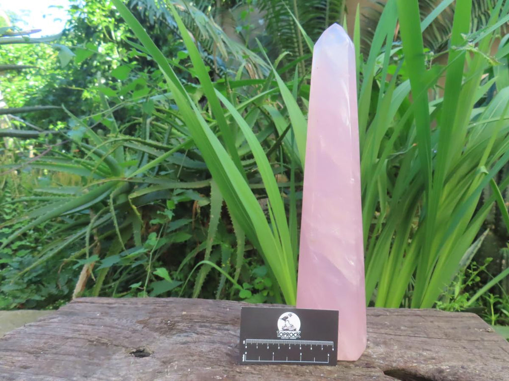 Polished Gemmy Long Rose Quartz Standing Prism x 1  From Ambatondrazaka, Madagascar