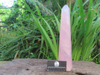 Polished Gemmy Long Rose Quartz Standing Prism x 1  From Ambatondrazaka, Madagascar