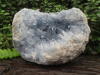 Natural Acicular Crystal Blue Celestite x 1 From Sakoany, Madagascar