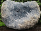 Natural Acicular Crystal Blue Celestite x 1 From Sakoany, Madagascar