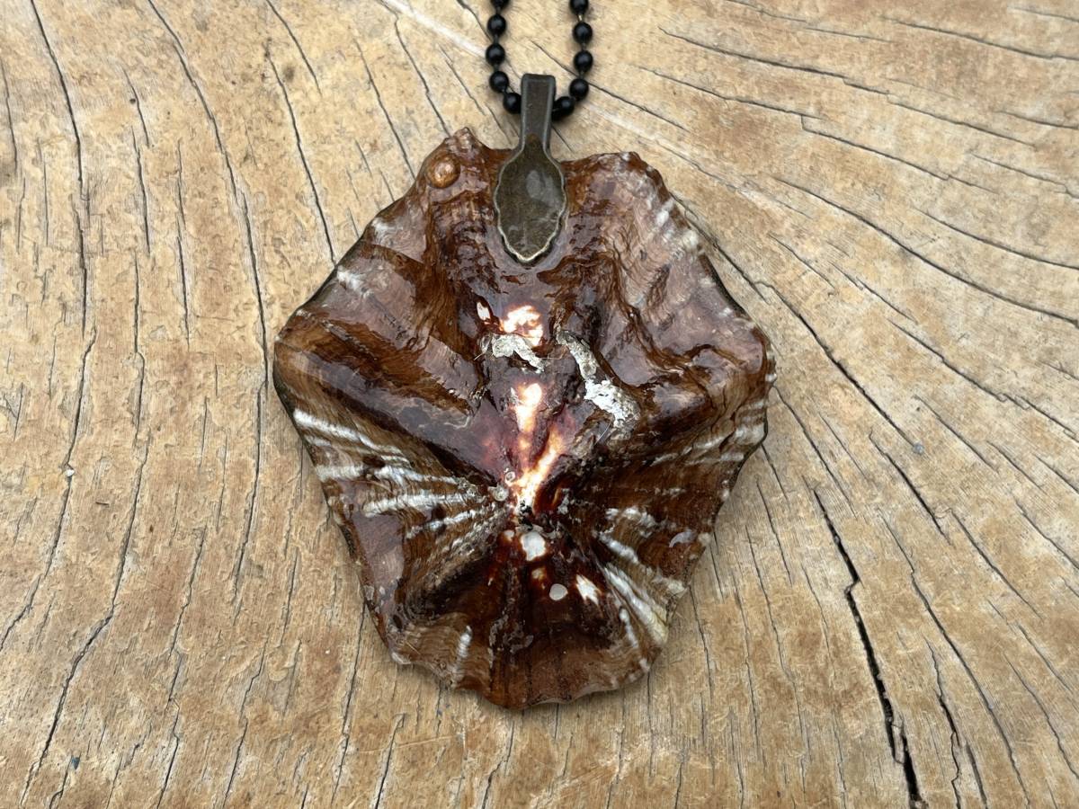 Hand Made Double Shell And Sodalite Pendant x 1 From South Africa