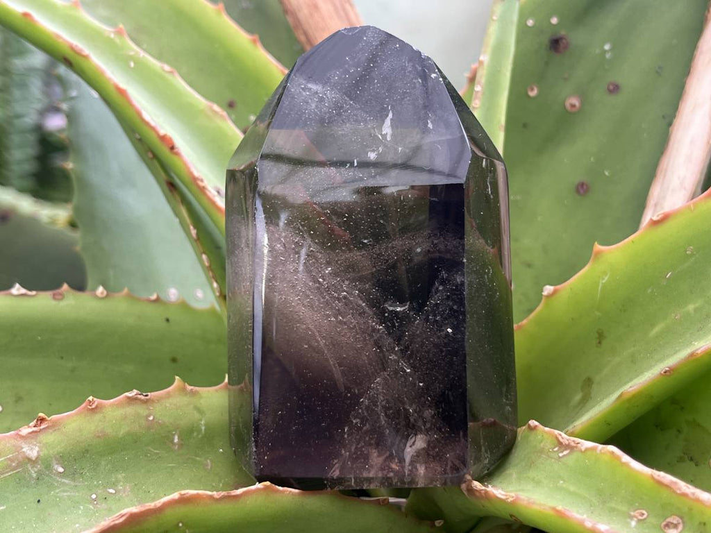 Polished Marion Smokey Quartz Crystal x 1 From Madagascar