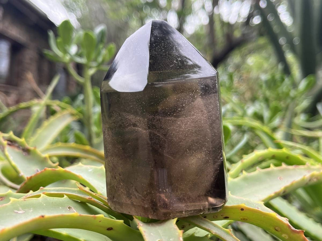 Polished Marion Smokey Quartz Crystal x 1 From Madagascar