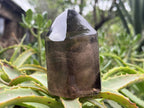 Polished Marion Smokey Quartz Crystal x 1 From Madagascar
