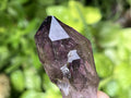 Natural Smokey Amethyst Window Sceptre x 1 From Brandberg, Namibia