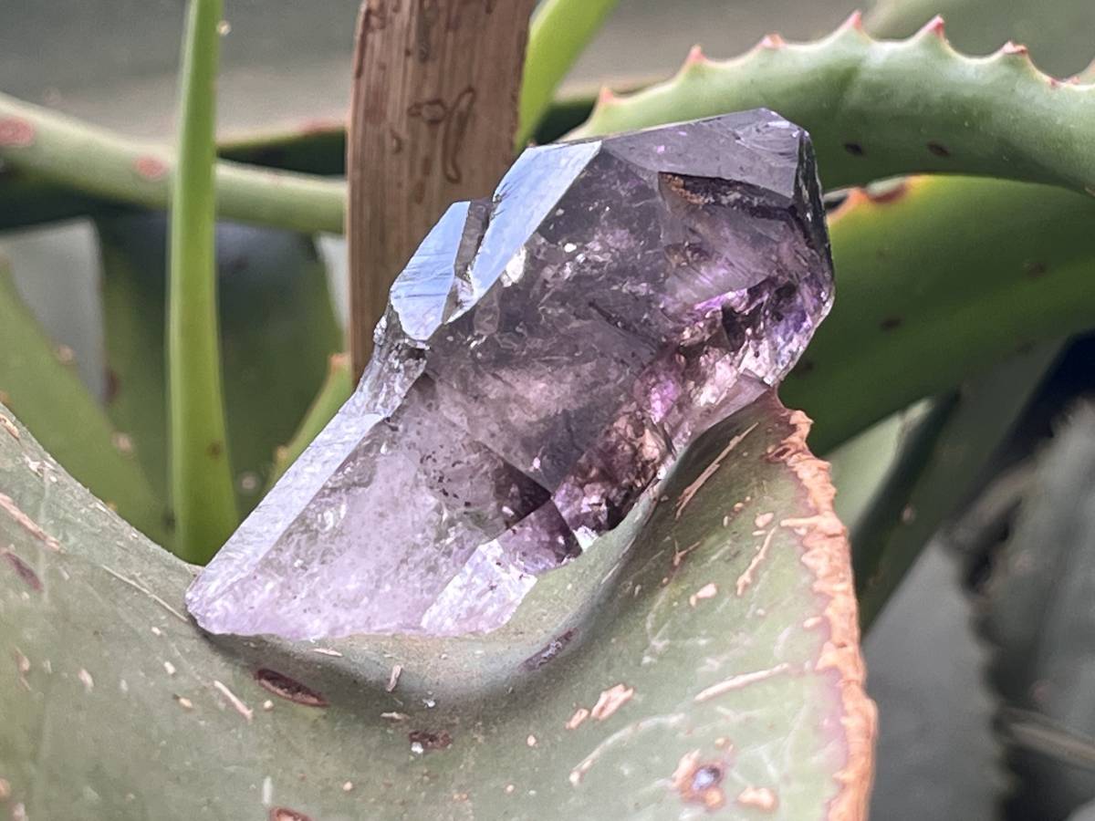 Natural Smokey Amethyst Window Sceptre x 1 From Brandberg, Namibia