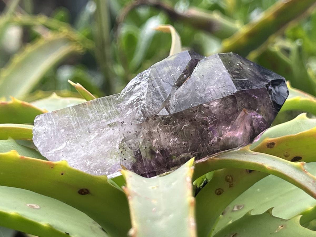 Natural Smokey Amethyst Window Sceptre x 1 From Brandberg, Namibia