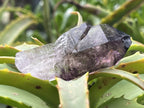 Natural Smokey Amethyst Window Sceptre x 1 From Brandberg, Namibia