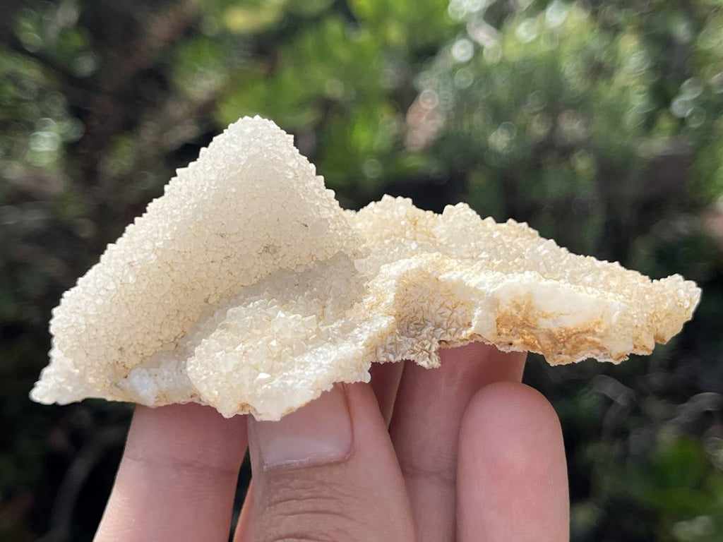 Natural Tabular Drusy Quartz Coated Calcite x 1 From Albert's Mountain, Lesotho