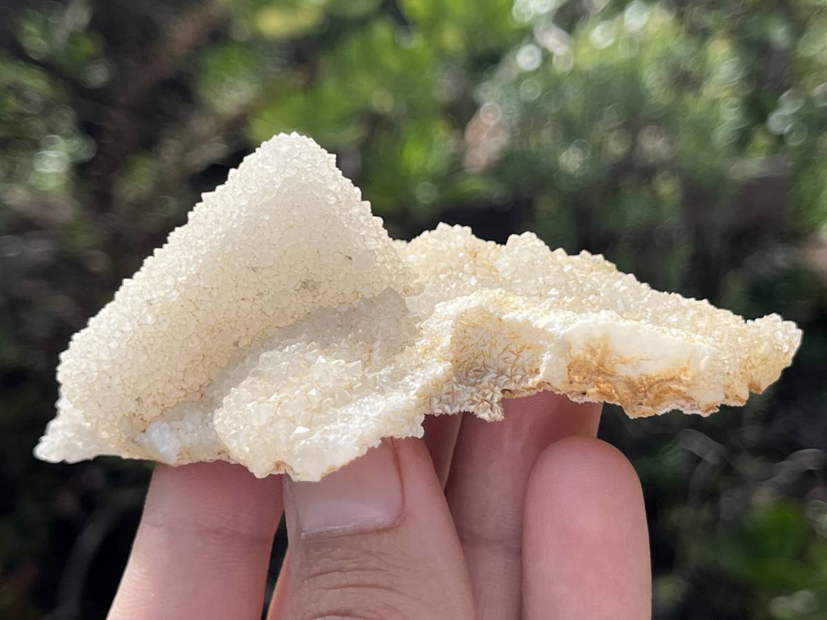 Natural Tabular Drusy Quartz Coated Calcite x 1 From Albert's Mountain, Lesotho