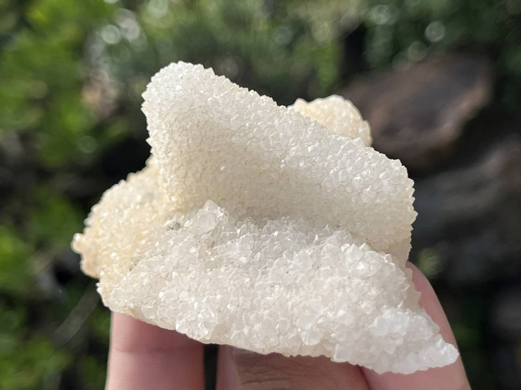 Natural Tabular Drusy Quartz Coated Calcite x 1 From Albert's Mountain, Lesotho