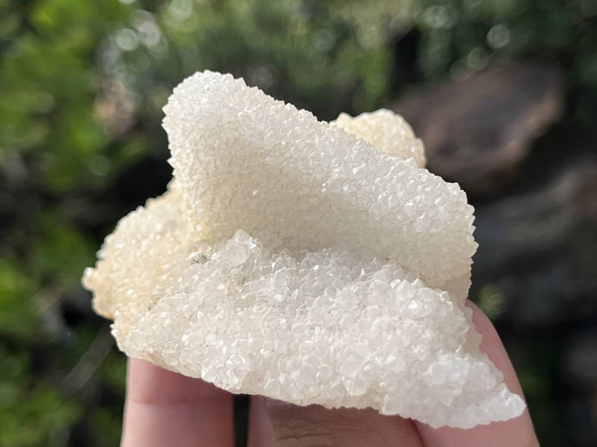 Natural Tabular Drusy Quartz Coated Calcite x 1 From Albert's Mountain, Lesotho