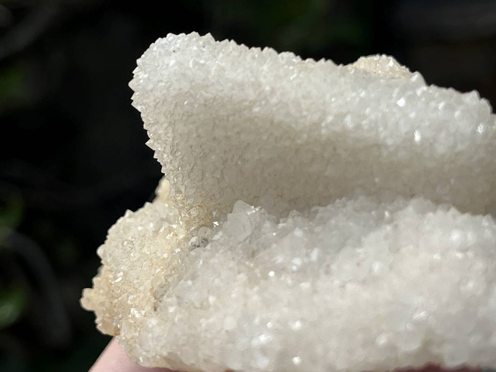 Natural Tabular Drusy Quartz Coated Calcite x 1 From Albert's Mountain, Lesotho