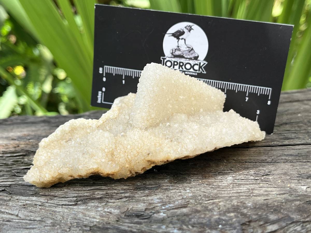 Natural Tabular Drusy Quartz Coated Calcite x 1 From Albert's Mountain, Lesotho