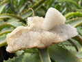 Natural Tabular Drusy Quartz Coated Calcite x 1 From Albert's Mountain, Lesotho