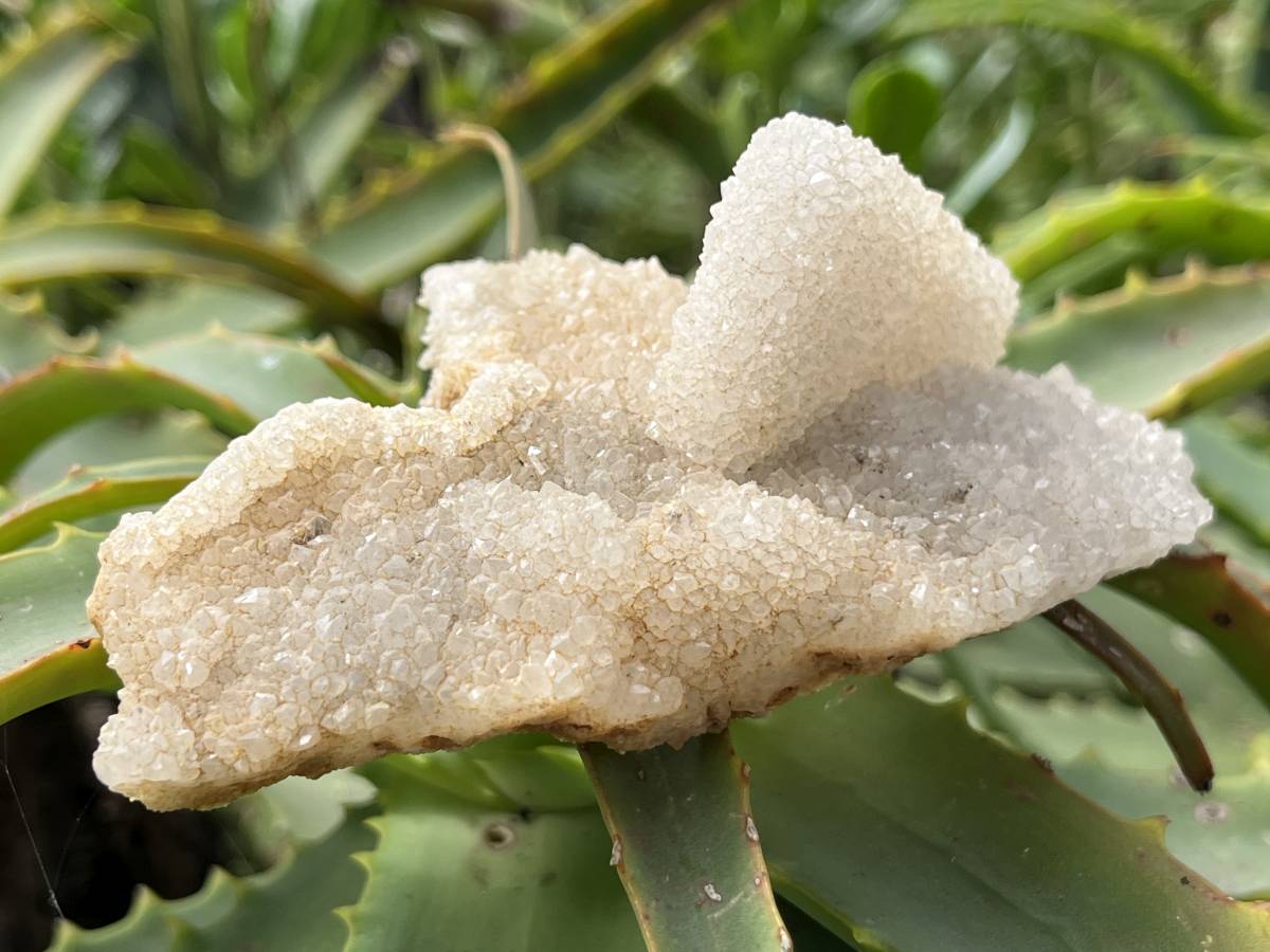 Natural Tabular Drusy Quartz Coated Calcite x 1 From Albert's Mountain, Lesotho