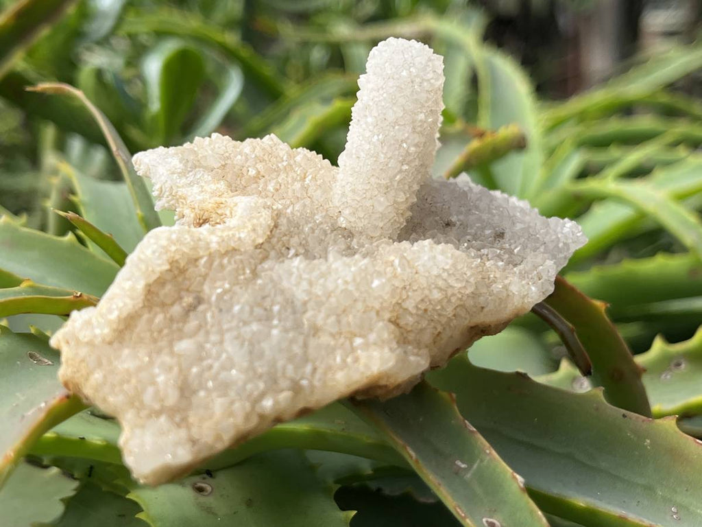 Natural Tabular Drusy Quartz Coated Calcite x 1 From Albert's Mountain, Lesotho