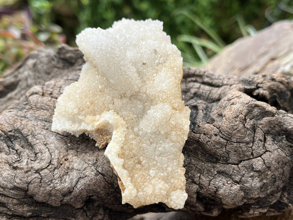 Natural Tabular Drusy Quartz Coated Calcite x 1 From Albert's Mountain, Lesotho