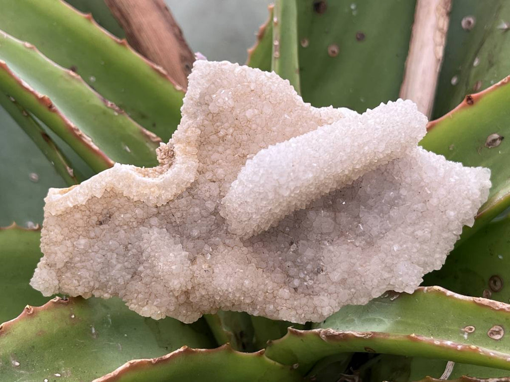 Natural Tabular Drusy Quartz Coated Calcite x 1 From Albert's Mountain, Lesotho