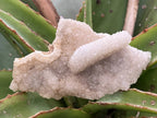 Natural Tabular Drusy Quartz Coated Calcite x 1 From Albert's Mountain, Lesotho