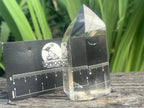 Polished Dazzling Bright Optic Quartz Crystal x 1 From Madagascar