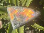 Polished Sunset Orange and Purple Flash Labradorite x 1 From Tulear, Madagascar.