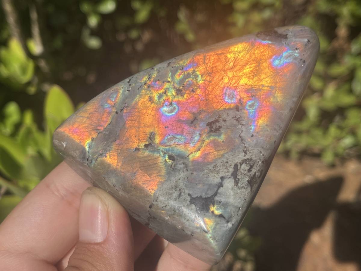 Polished Sunset Orange and Purple Flash Labradorite x 1 From Tulear, Madagascar.