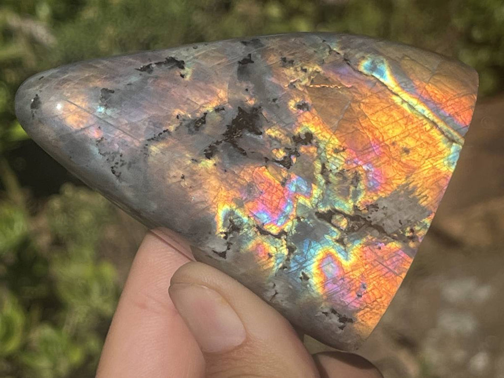 Polished Sunset Orange and Purple Flash Labradorite x 1 From Tulear, Madagascar.