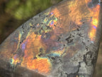 Polished Sunset Orange and Purple Flash Labradorite x 1 From Tulear, Madagascar.