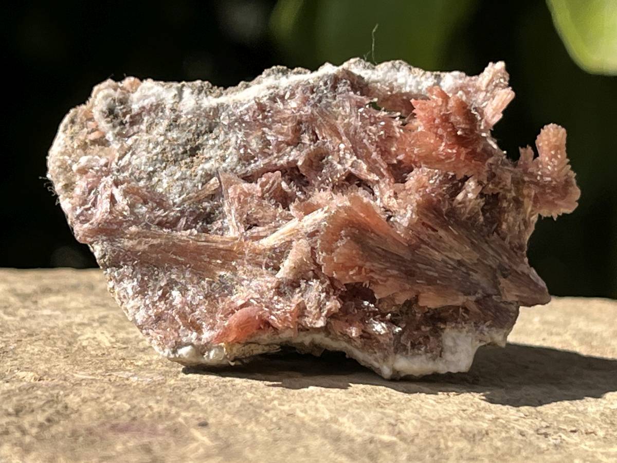 Natural Rare Orange Acicular Inesite Specimen x 1 From Wessels Mine, South Africa