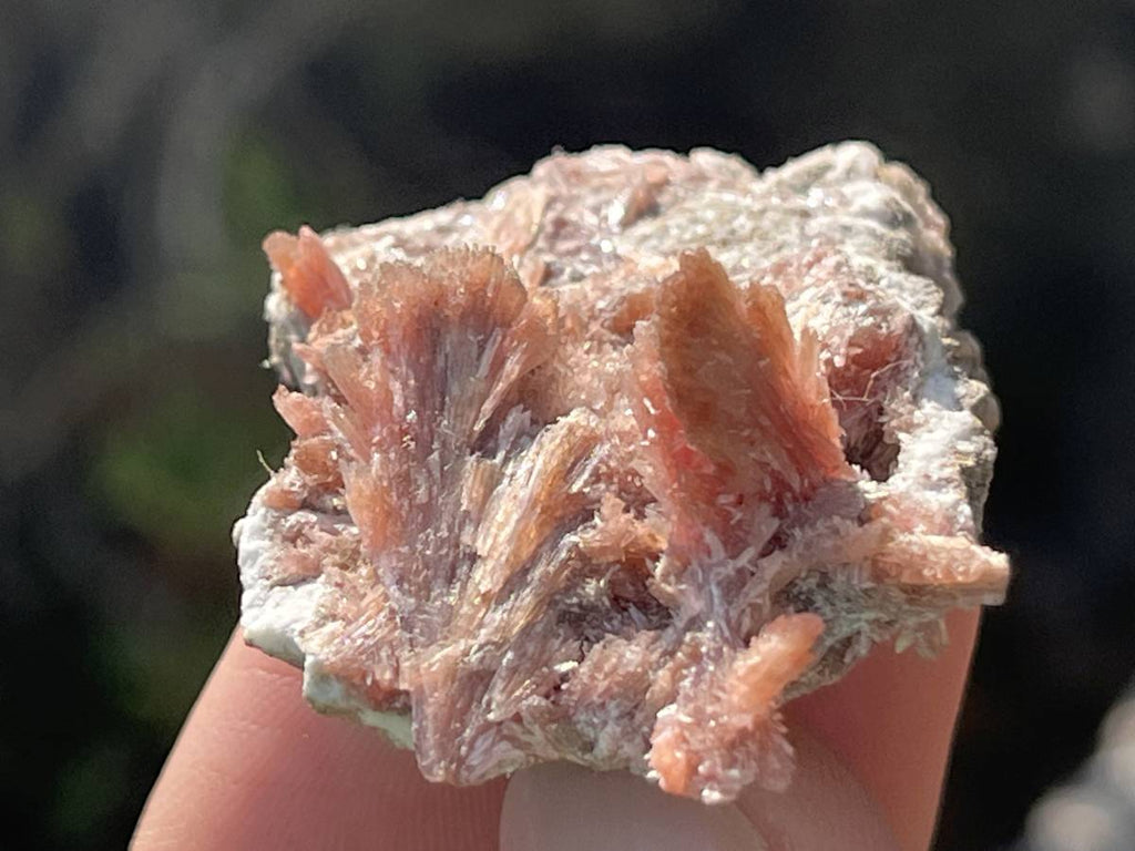 Natural Rare Orange Acicular Inesite Specimen x 1 From Wessels Mine, South Africa