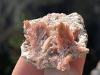 Natural Rare Orange Acicular Inesite Specimen x 1 From Wessels Mine, South Africa