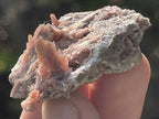 Natural Rare Orange Acicular Inesite Specimen x 1 From Wessels Mine, South Africa