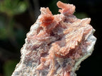 Natural Rare Orange Acicular Inesite Specimen x 1 From Wessels Mine, South Africa