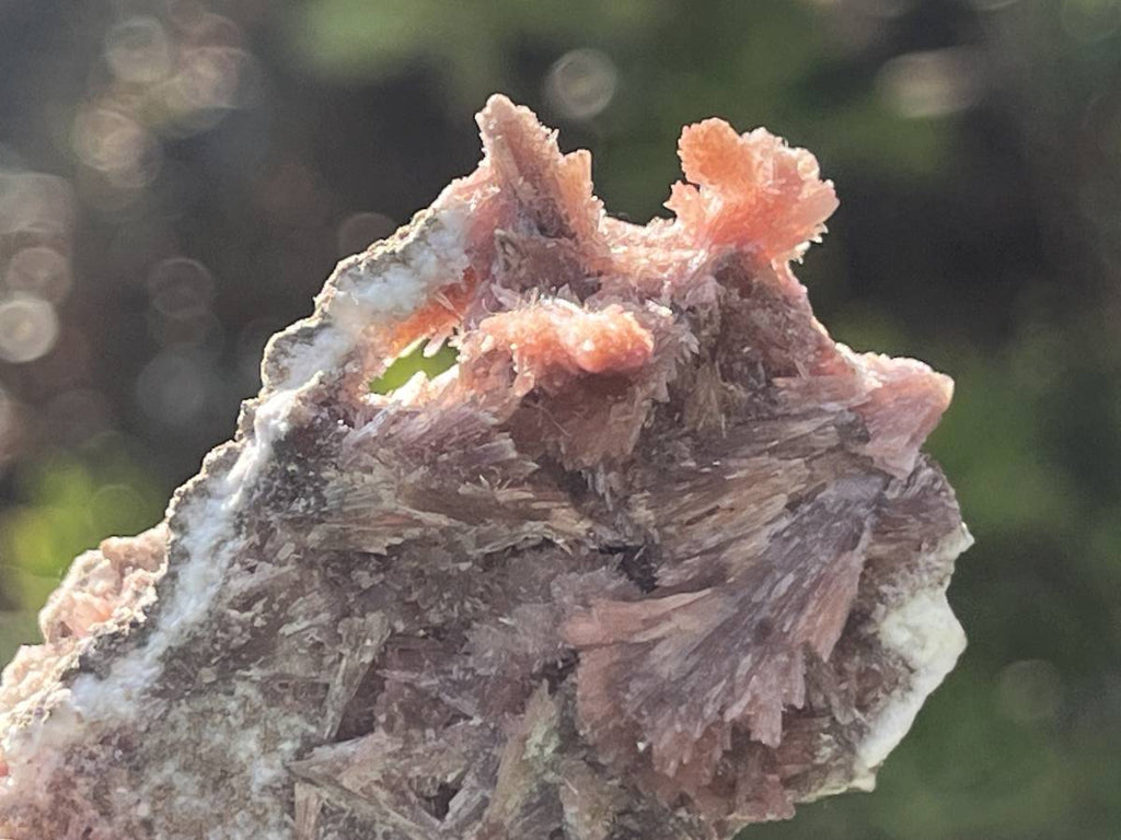 Natural Rare Orange Acicular Inesite Specimen x 1 From Wessels Mine, South Africa