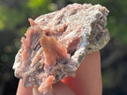 Natural Rare Orange Acicular Inesite Specimen x 1 From Wessels Mine, South Africa