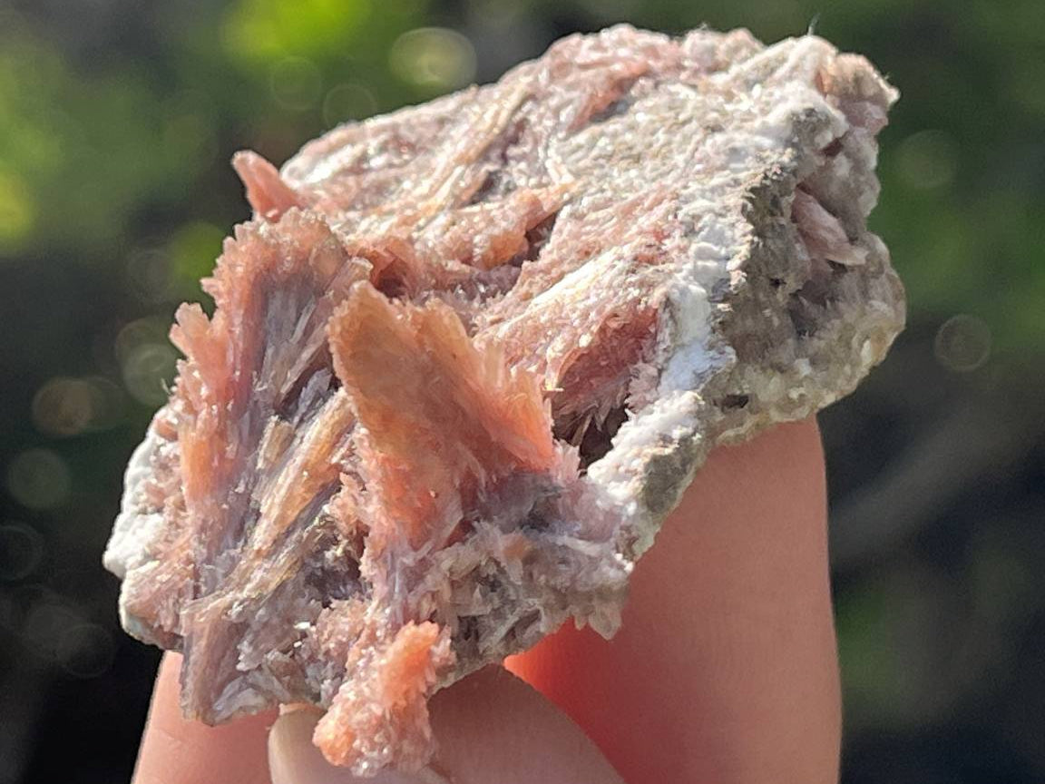Natural Rare Orange Acicular Inesite Specimen x 1 From Wessels Mine, South Africa