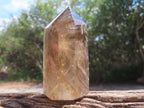 Polished Smokey Quartz Crystal x 1 From Madagascar