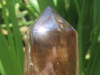 Polished Smokey Quartz Crystal x 1 From Madagascar